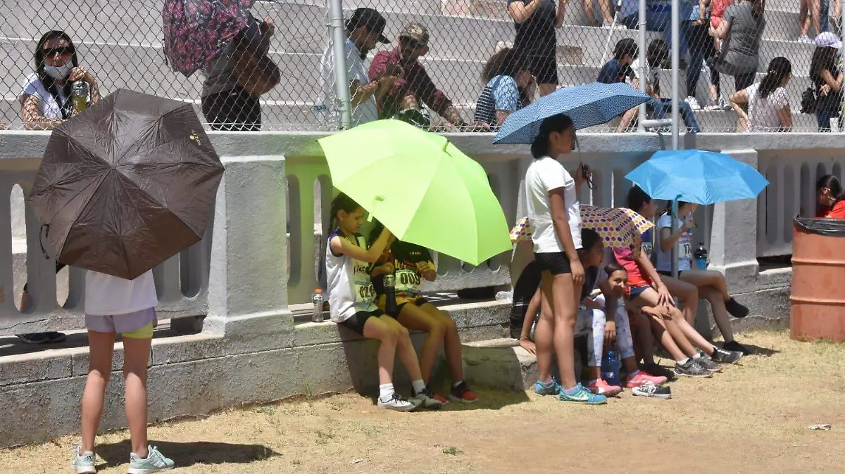 chihuahua calor